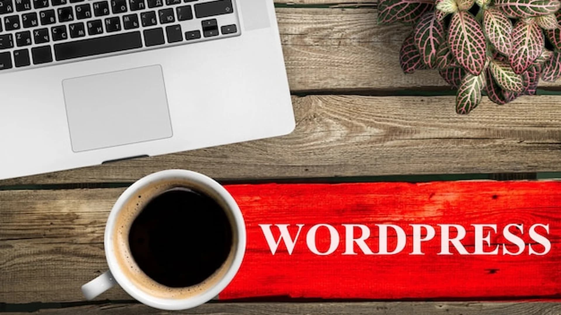 Cara Install WordPress di cPanel