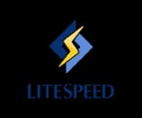 LiteSpeed logo